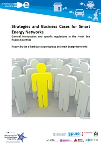 Business Cases for Smart Grids: The economic value of flexibility